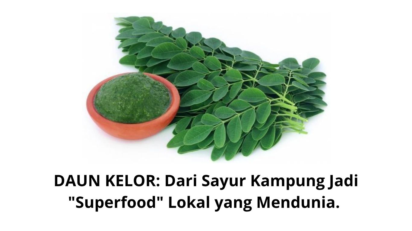 DAUN_KELOR_Dari_Sayur_Kampung_Jadi_Superfood_Lokal_yang_Menduniabahkan_subj_20260519_104651_0000.jpg